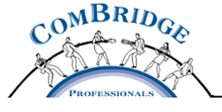 ComBridge Professionals | Reseller of Adagio Accounting Software